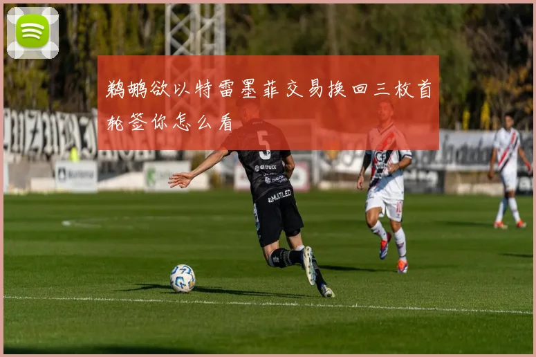鹈鹕欲以特雷墨菲交易换回三枚首轮签你怎么看
