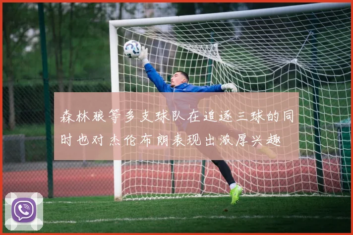 森林狼等多支球队在追逐三球的同时也对杰伦布朗表现出浓厚兴趣