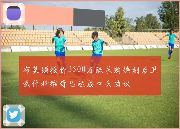 布莱顿报价3500万欧求购热刺后卫武什科维奇已达成口头协议